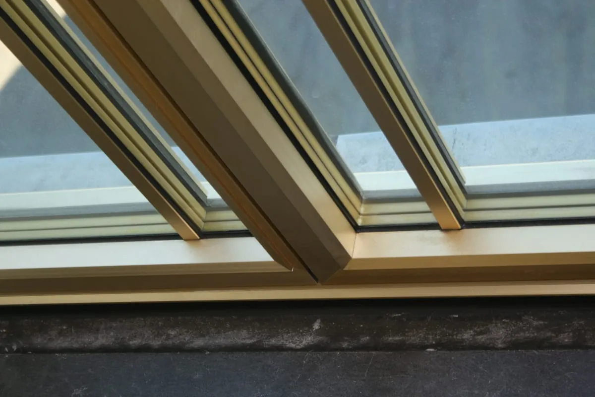 Das müssen Sie über Sprossen wissen