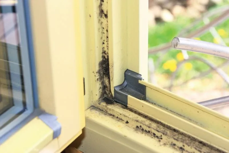 GFF BW-Vorsitzender Sieber spricht im TV über Fenster