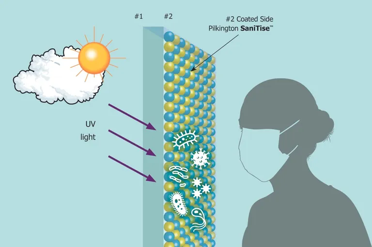 sani tise pilkington