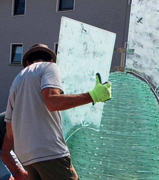 Ein gläserner  Bienenkorb