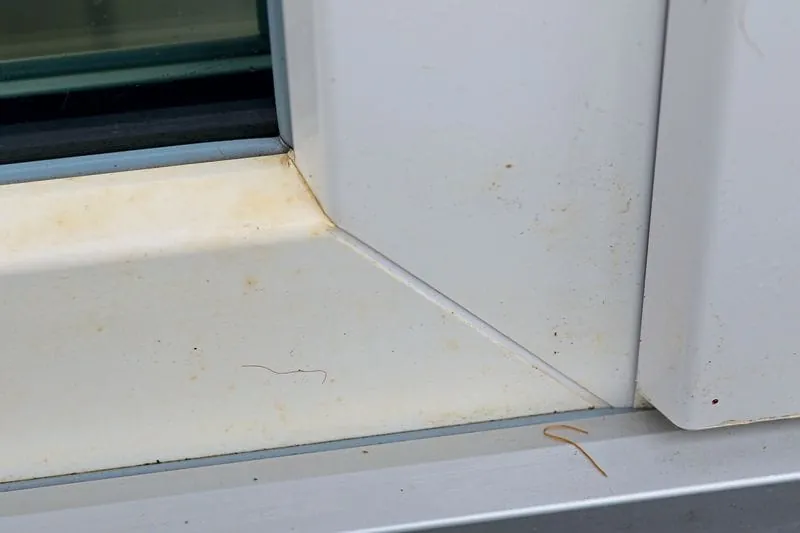 Von der gelben Gefahr zum schwarzen Albtraum