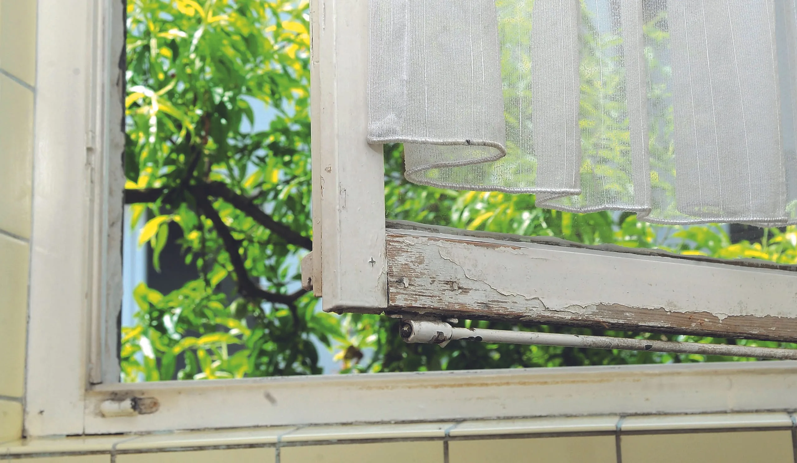 Auf diese Kriterien sollten Sie beim Kauf achten