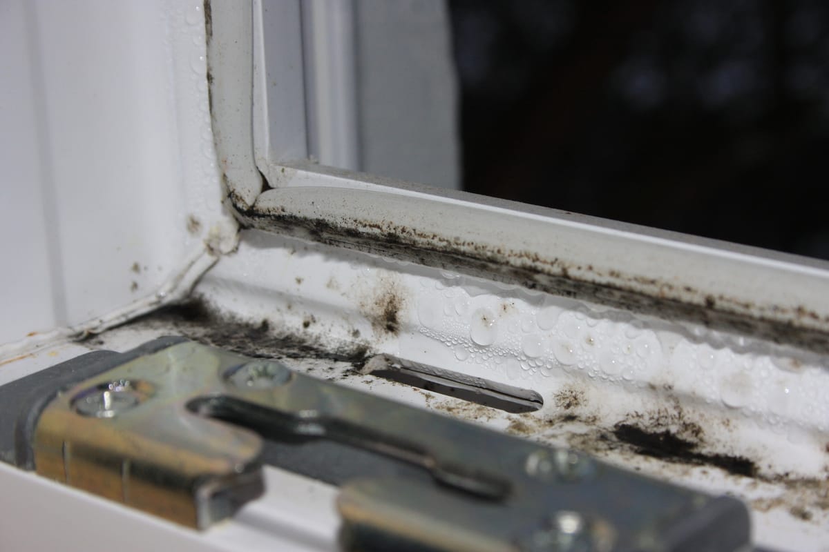 Schimmelpilze im Fensterfalz