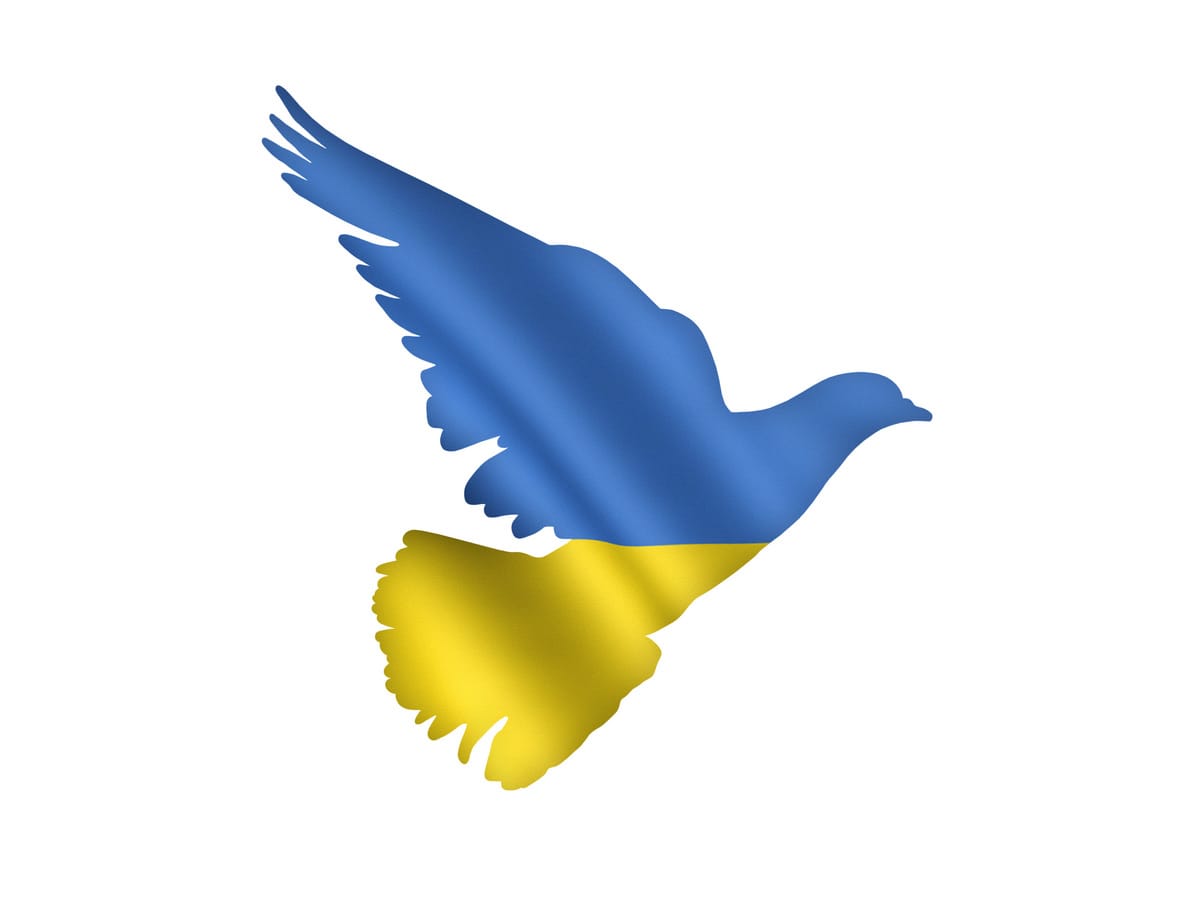 Ukrainischer Fensterverband: Russland wirtschaftlich isolieren