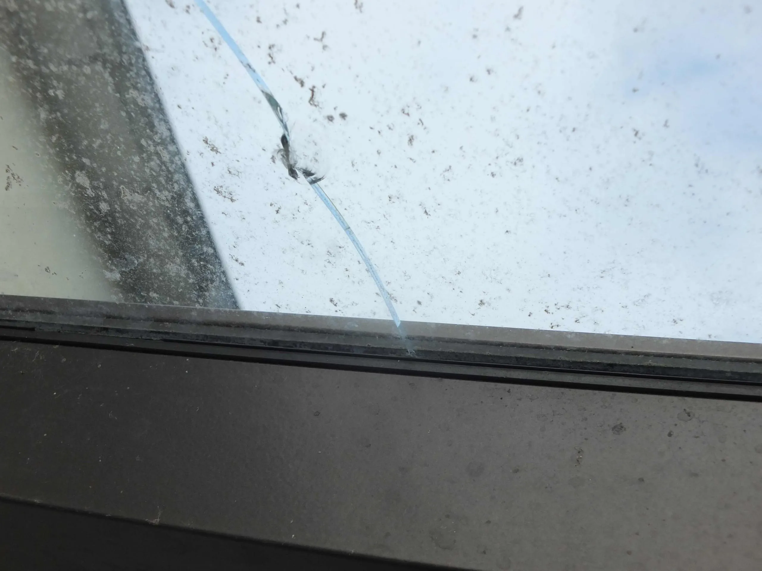 Glasbruch durch Vogelvandalismus