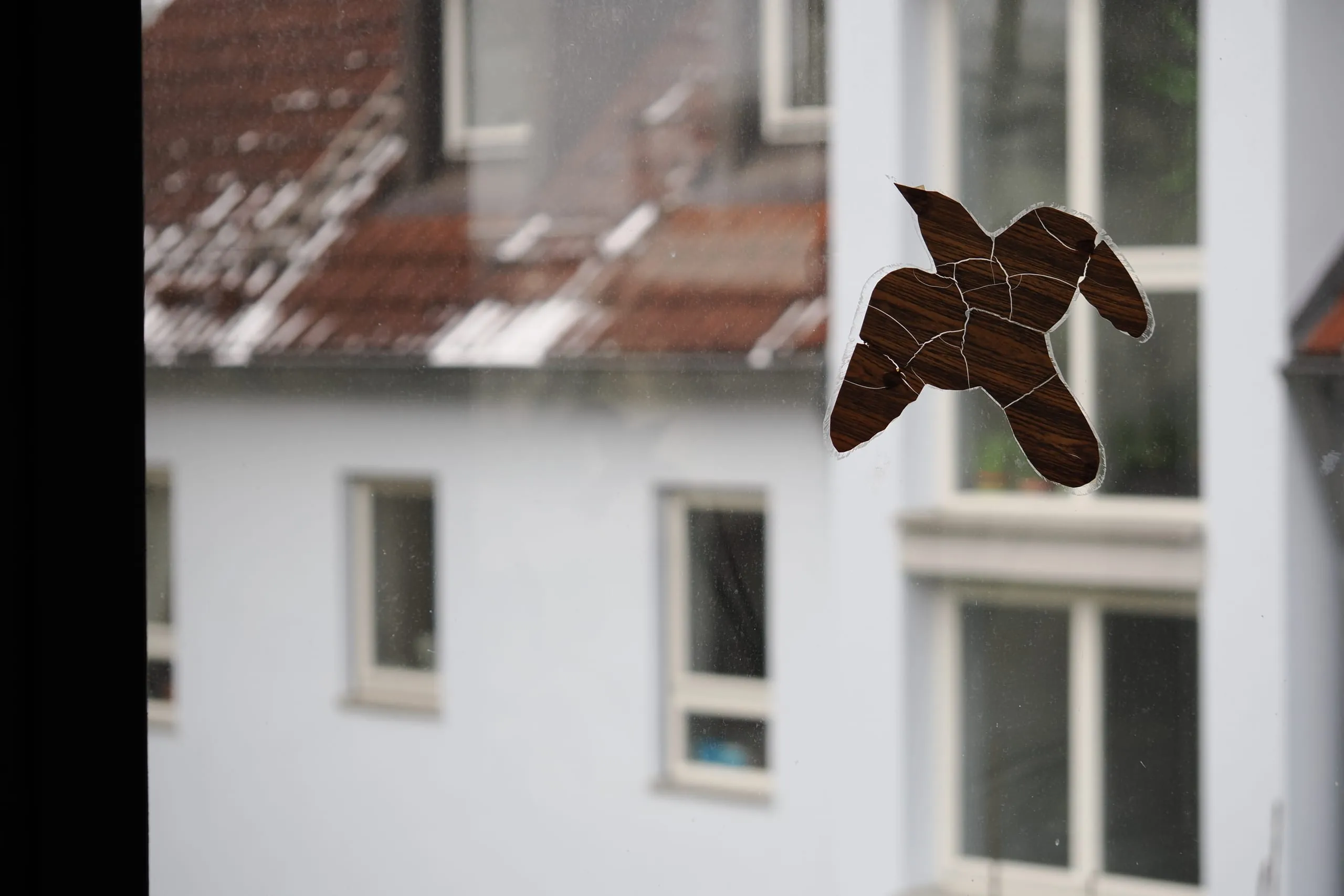 Vogelschutz: Verbote großer Glasflächen sind keine Lösung