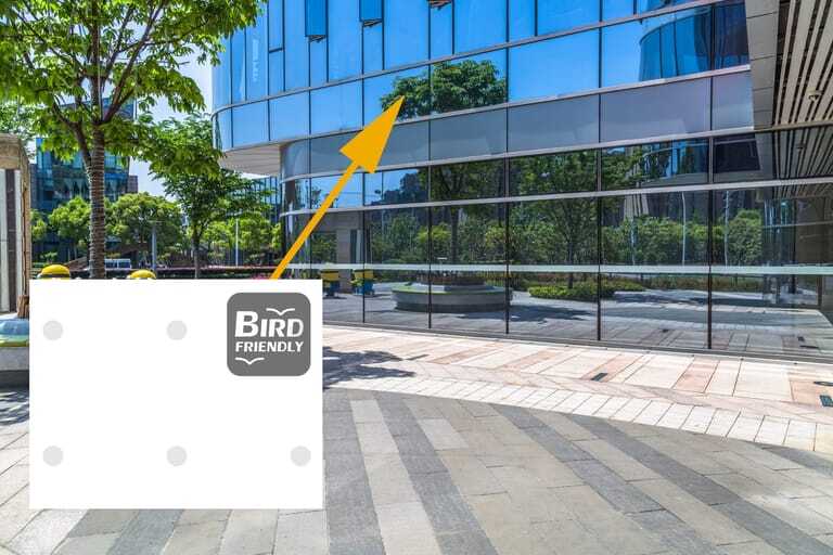 Mit blickdichten oder semitransparenten Punkten bietet das veredelte Glas maximalen Schutz gegen Vogelschlag.
