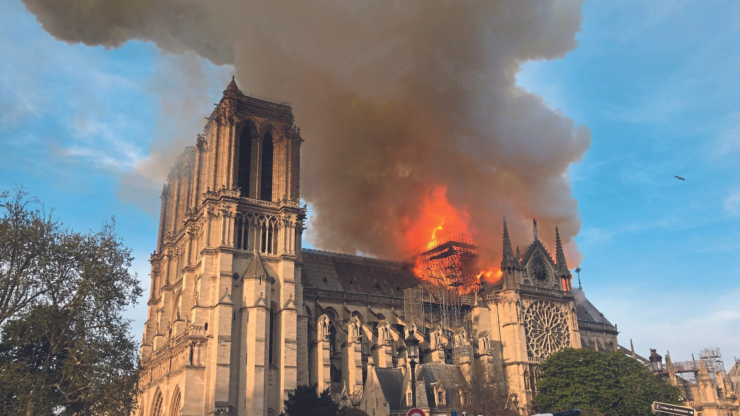 Vier Fenster von Notre-Dame  erstrahlen in neuem Glanz