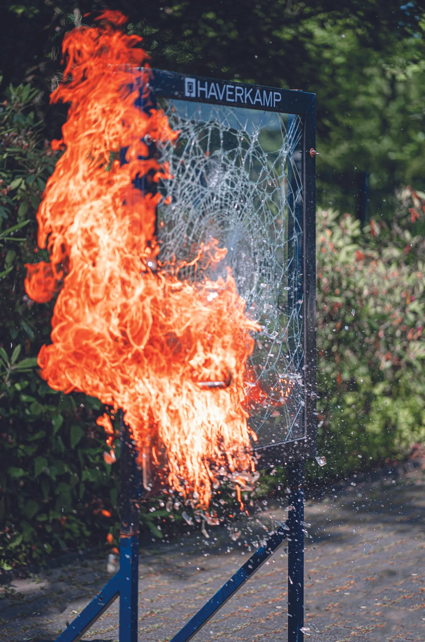 Fensterfolien: Haverkamp startet Seminarprogramm 2025