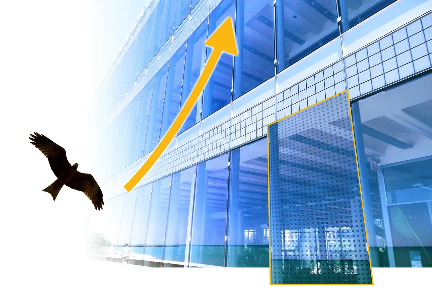 Lasern Sie sich eine Vogelschutzverglasung