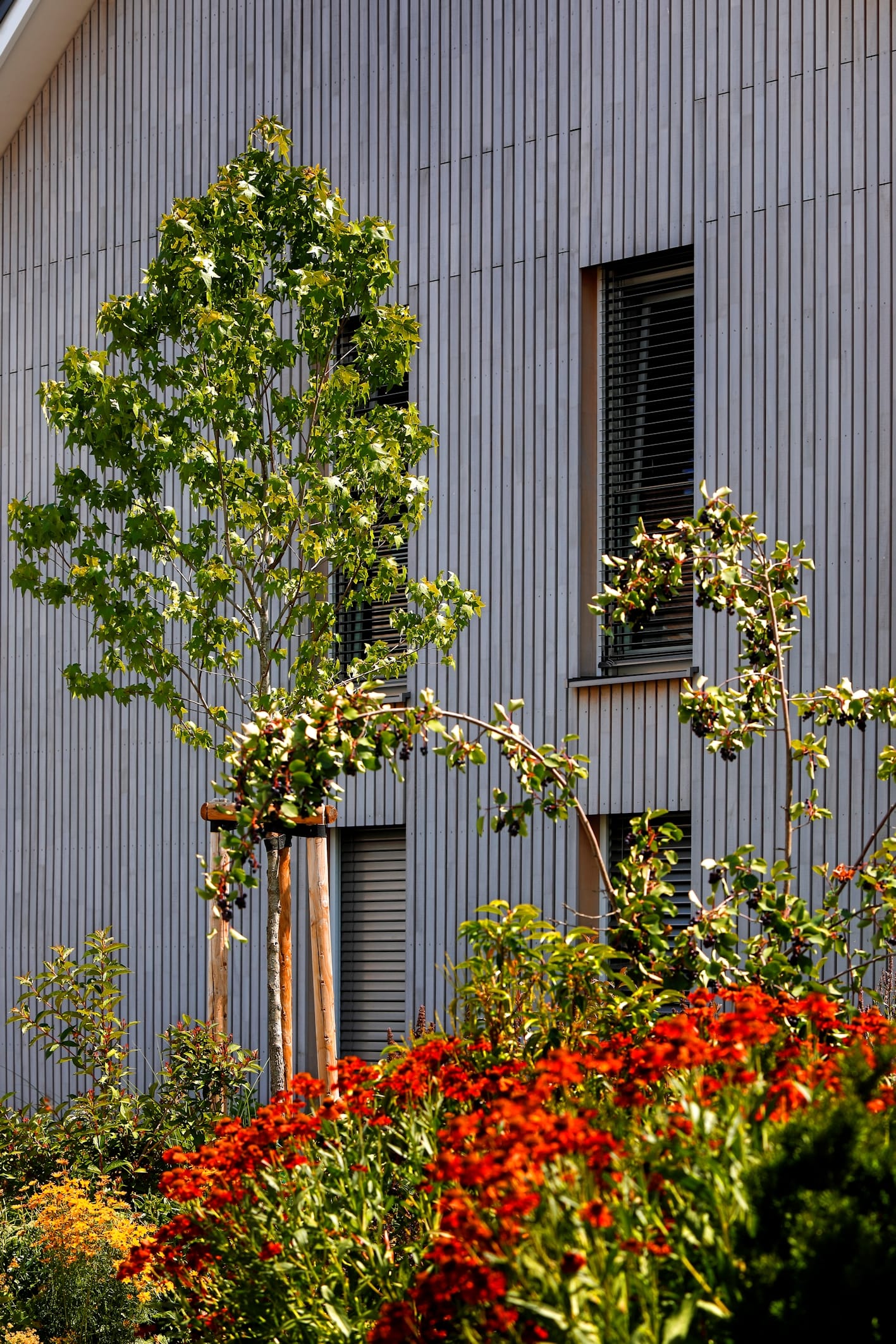 Raffstores ergänzen die Fensterlösung funktional und gestalterisch für blendfreien Lichteinfall und sommerlichen Wärmeschutz.